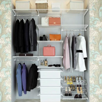 Прямая сетчатая